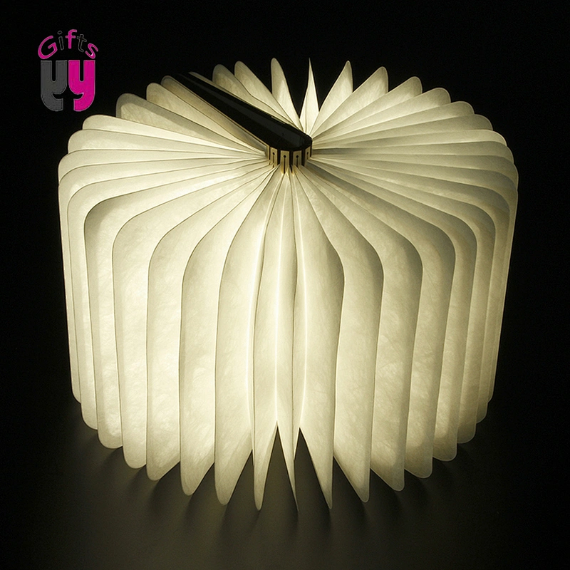 warm light LED mini book lamp with USB rechargeable table lamp