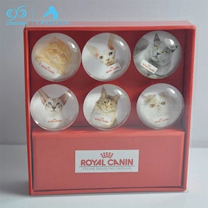 Cat glass magnet set / mini glass magnet / button glass magnet