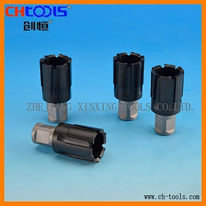 Rail cutters with exchangeable cutting tools
