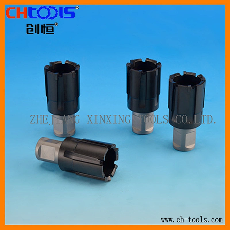 Rail cutters with exchangeable cutting tools