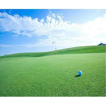 artificial grass manufacturing