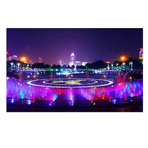 304 316S Stainless Steel IP68 Waterproof Outdoor Lighting 24V 18W Pure White Warm White RGB LED Underwater Light Wireless