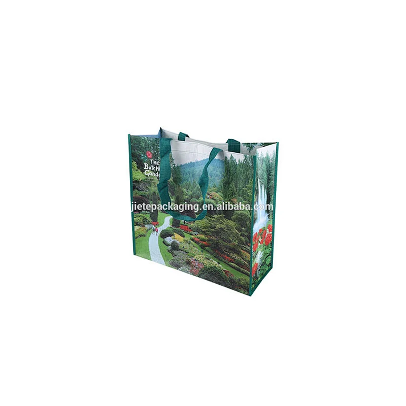 Economical custom design waterproof PP woven wholesale reusable shopping bag