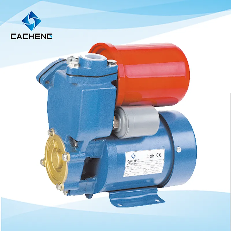 CQS200AUTO/CQS200TAUTO Automatic Self-priming Peripheral Pumps Surface Pump