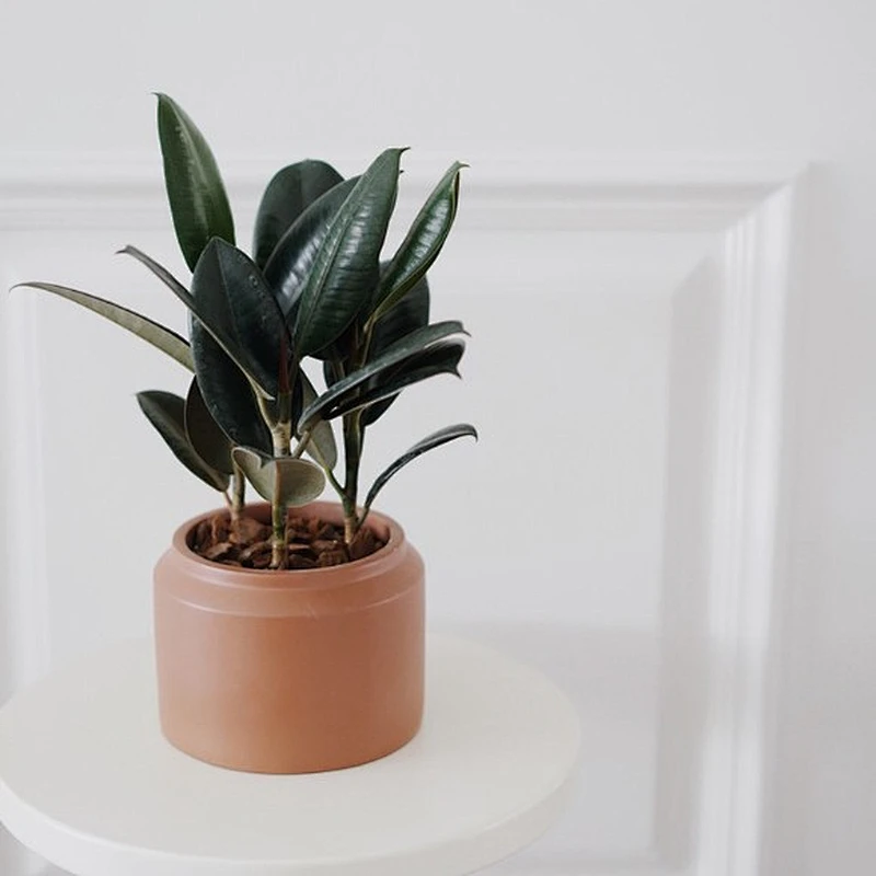 Factory Direct Support Mold Nordic Creative Cylinder Cement Flower Pot Concrete Silicone Mold