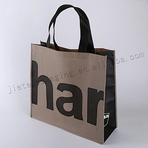 Promotion reusable plastic pp non woven shopping bag