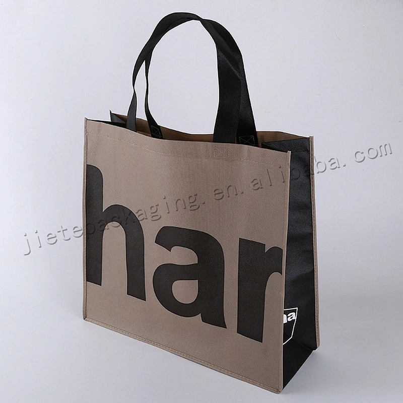 Promotion reusable plastic pp non woven shopping bag