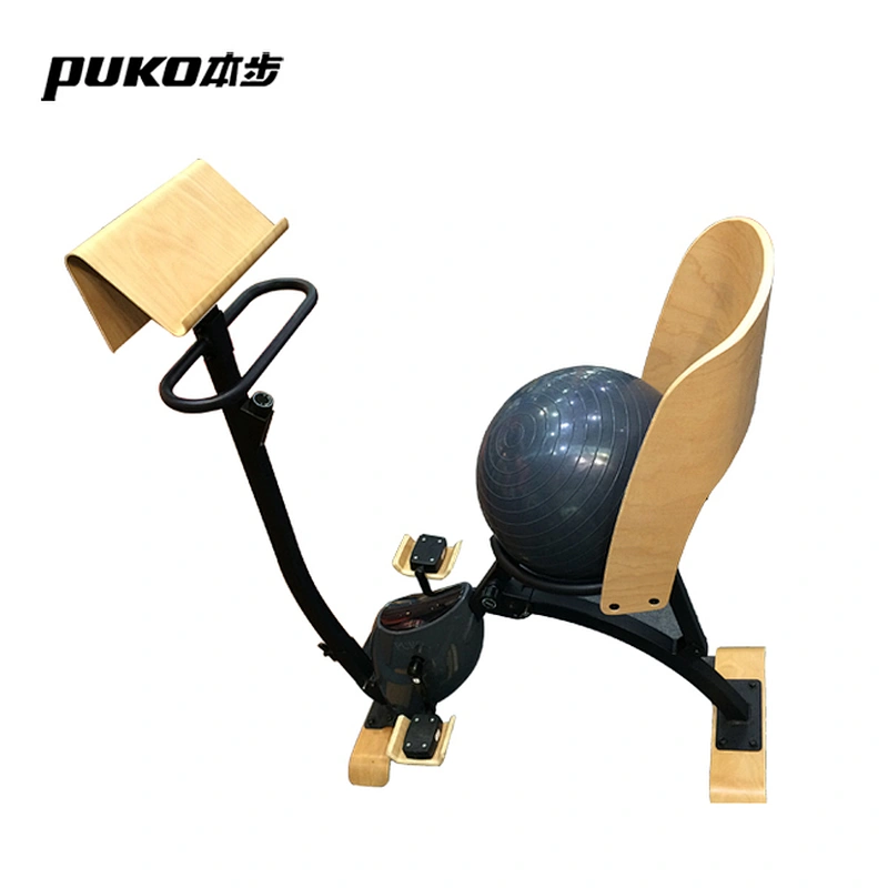 CF-EO5 Indoor Wooden Nature Style Yoga Ball Seat Fitness Upright Exercise Bike