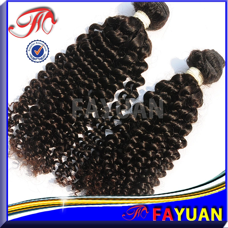 unprocessed virgin remy human Indian curly hair