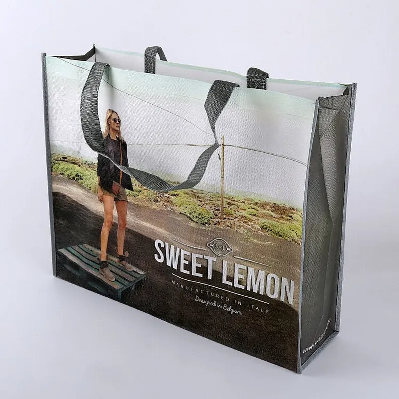 Large size portable shopping bag non-woven wholesale