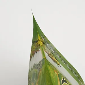 Custom PE bags are used for date packaging
