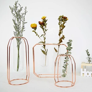 Scandinavian style Borosilicate Glass Tuble Vase With Metal Holder Hydroponics Flower Container for Home Deco