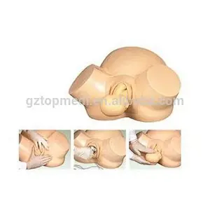 Medical Midwifery Anatomical Training Teaching Simulator