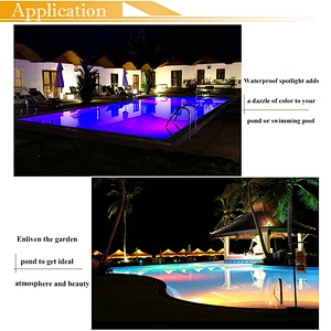 Flexible 12V 220V 110V RGB IP68 underwater Neon led light swimming pool rope light