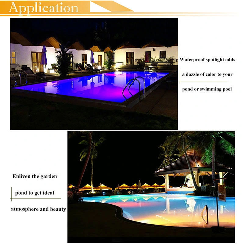 Flexible 12V 220V 110V RGB IP68 underwater Neon led light swimming pool rope light