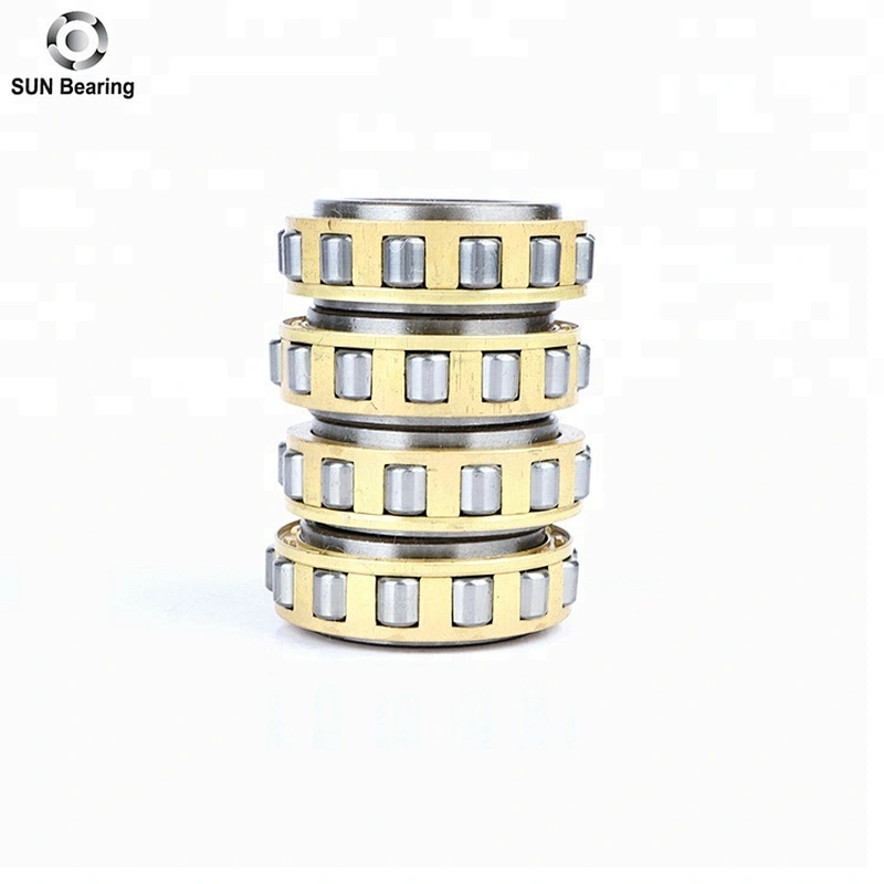 RN205 Cylindrical Roller Bearing