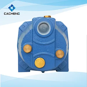 JET-60S Self-priming Jet Pumps Surface Pump