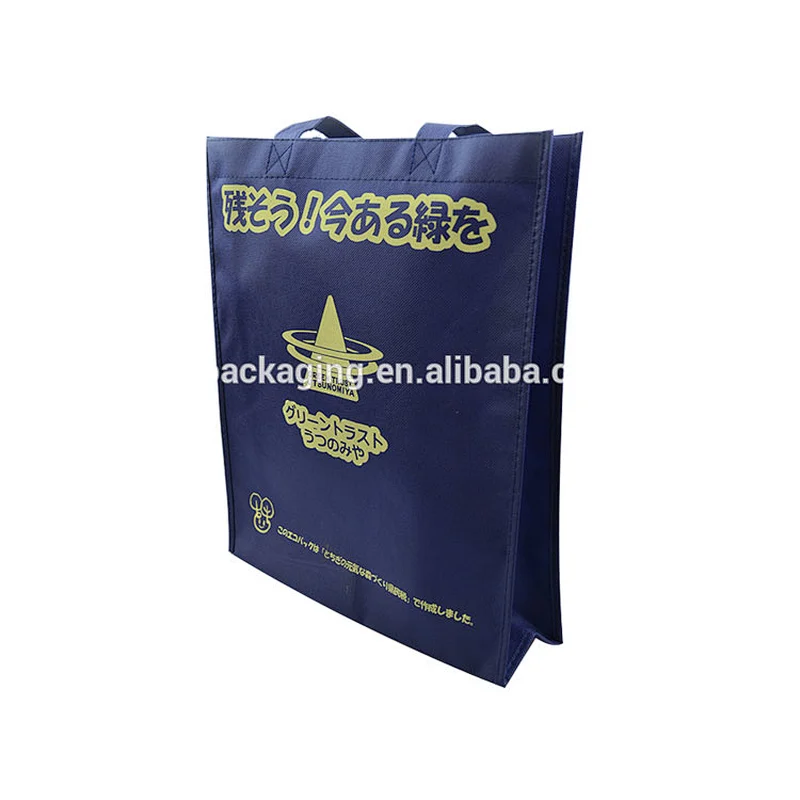Cheap Hot Sale Custom Laminated PP Folding Non Woven Shopping Carry Bag