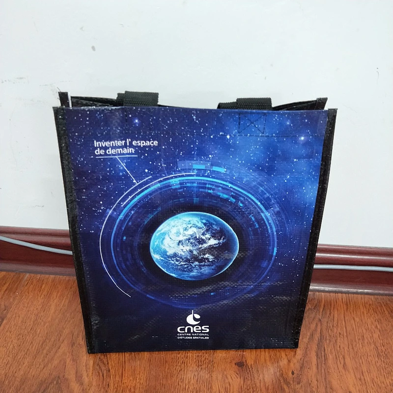 Wholesale custom printing shopping pp non woven bag