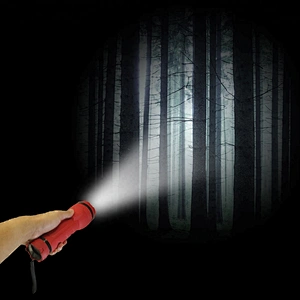 50 lumens Rubber LED Flashlight Red Fashion 2018 2D Torch