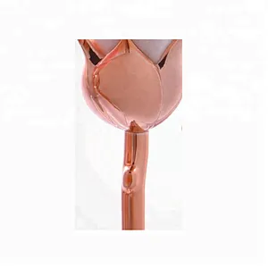 Professional 6pcs Rose Design Makeup Brush Set With Makeup Bag