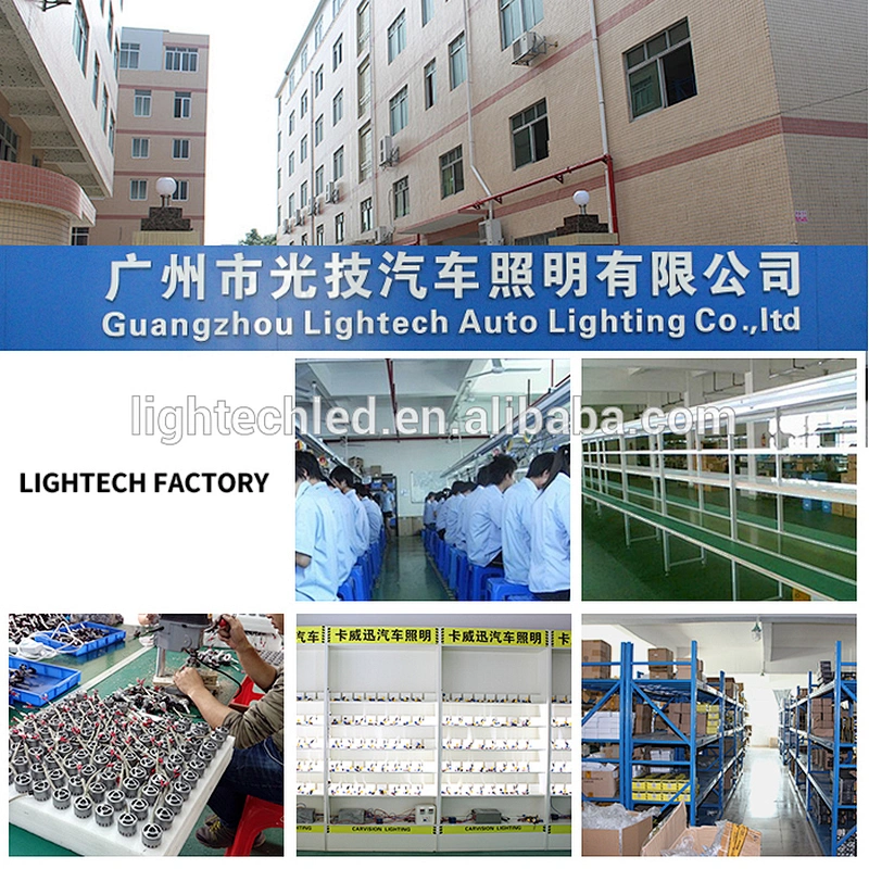 Auto Bulb DC 35W 8000K HID Xenon Bulbs for Car