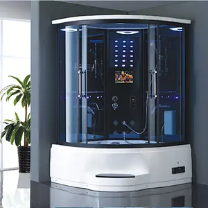 Computer controlled enclosed steam shower room for two people