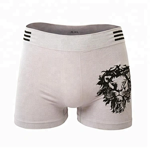 Top garde custom mens sport underwear dry fit boxer briefs