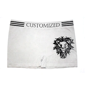 Top garde custom mens sport underwear dry fit boxer briefs