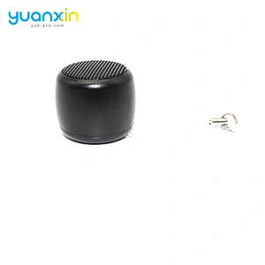 Mini Portable Speaker With Fm Radio Flashing Light Led Light Portable Wireless