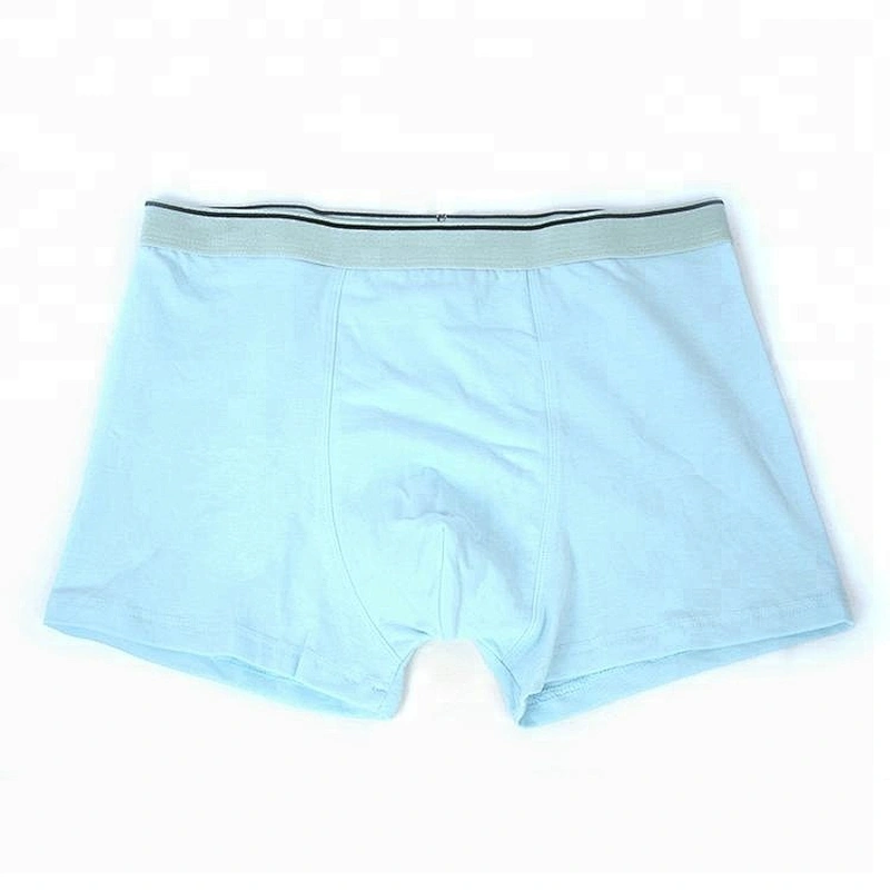 2018 Boxer Briefs Boy Gay Underpants Old Man Underwear