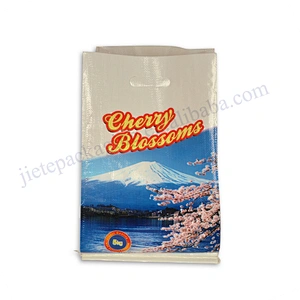 Sell well printed pp woven rice bag 5kg with D handle