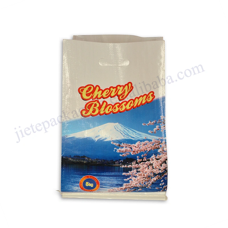 Sell well printed pp woven rice bag 5kg with D handle