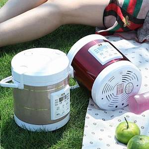 Portable Travel Vehicle Electric Rice Cooker Factory Supply Small Mini Heating Pot Competitive Price Gift