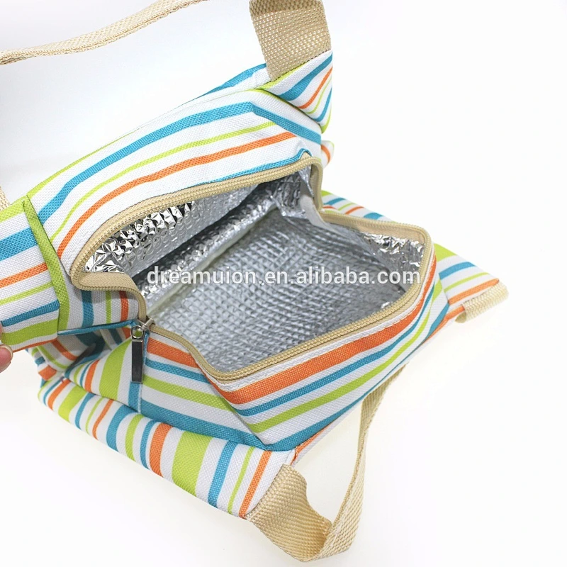 colorful Cooler Lunch thermal Bag Portable Insulated