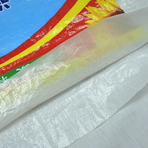 Design printing plastic sunflower seeds bag pp woven packaging coffee bean,nuts sack