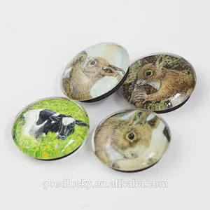 Shaped promotional glass fridge magnet supplier