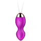 remote control