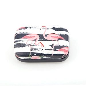 Flamingos Fruit Stria Eyeglasses Case Contact Lens Cases