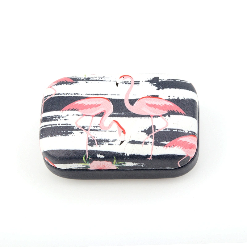 Flamingos Fruit Stria Eyeglasses Case Contact Lens Cases