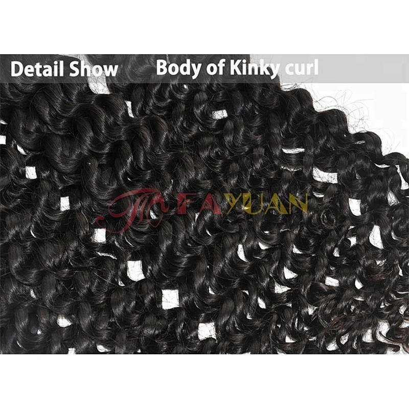 Newest cheap 100% brazilian virgin human remy raw hair extension kinky curly hair