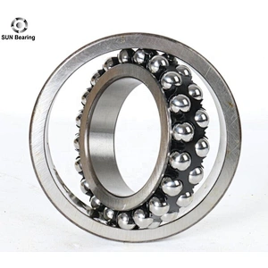 High Precision Self-Aligning Ball Bearing 1214TV