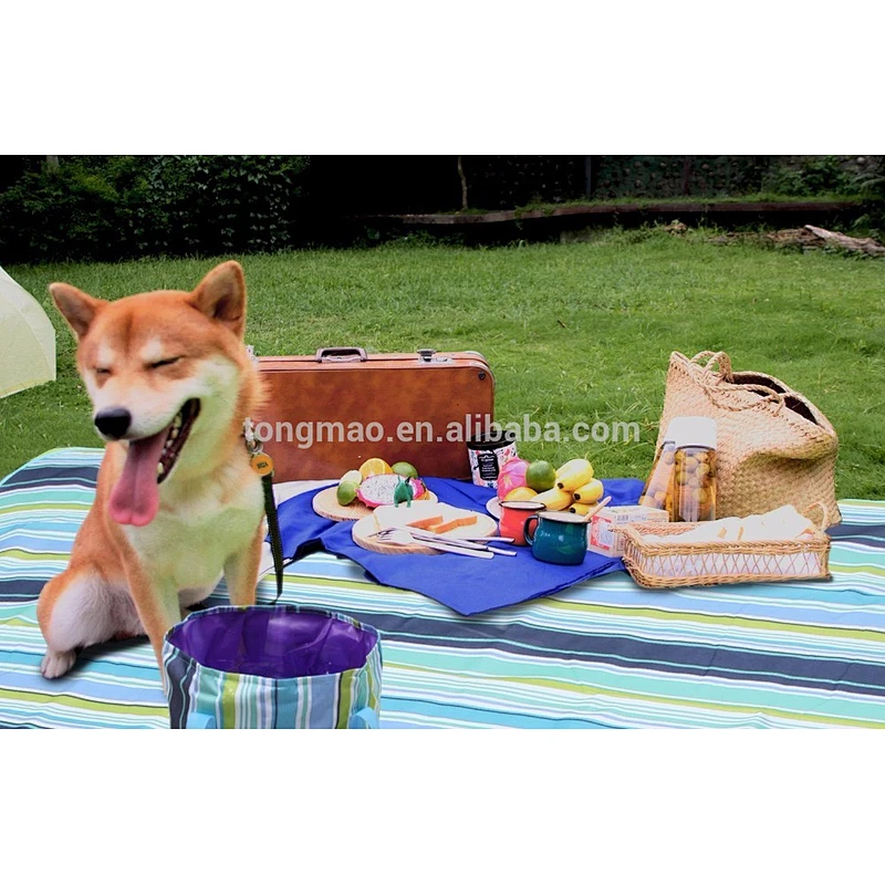 Wholesale Outdoor Waterproof Portable Picnic Blanket