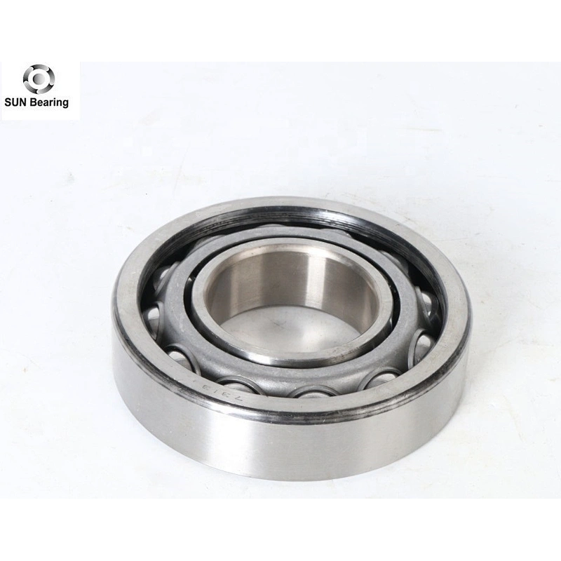 Hot Sale Angular Contact Ball Bearing 7313