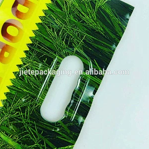 custom PE plastic rice bag with colorful printing handle pouch 1kg 2kg 5kg