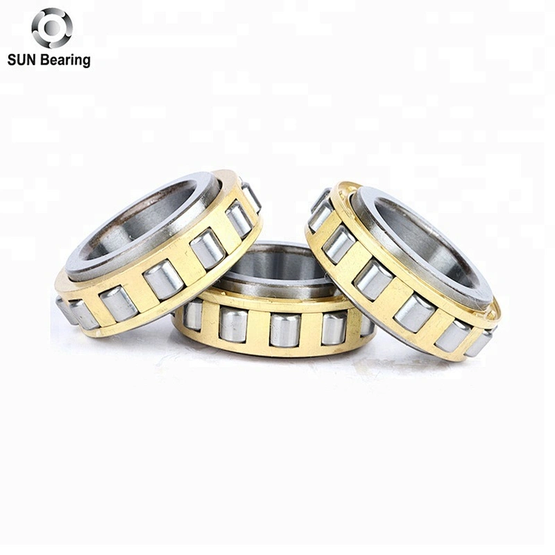 RN205 Cylindrical Roller Bearing