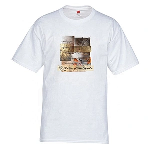 Custom Design Printing Men's 100% Polyester Dry Fit Plain T-shirts
