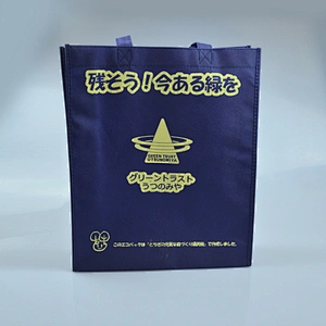 Custom pp non woven folding style shopping bag