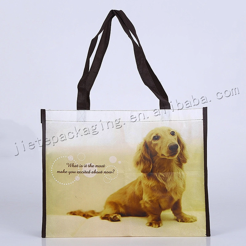 Customized stand up pp non woven shopping bag wholesale