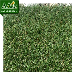 PE Materials Synthetic Grass for Landscaping